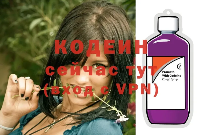 купить наркотики цена  Скопин  Кодеиновый сироп Lean Purple Drank 