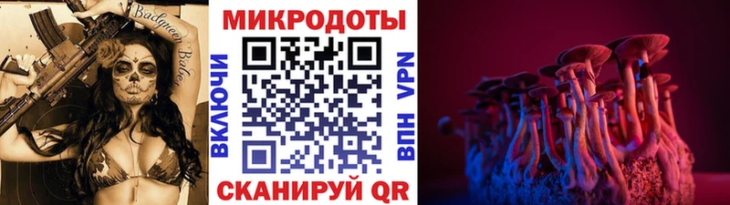 кракен как войти  Скопин  Псилоцибиновые грибы MAGIC MUSHROOMS 