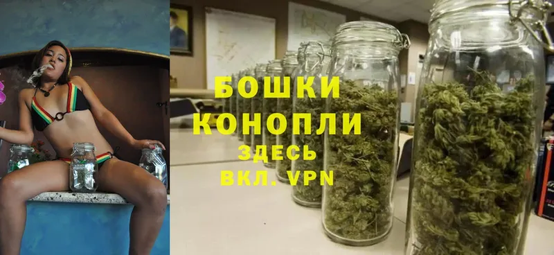 Канабис SATIVA & INDICA  сколько стоит  Скопин 